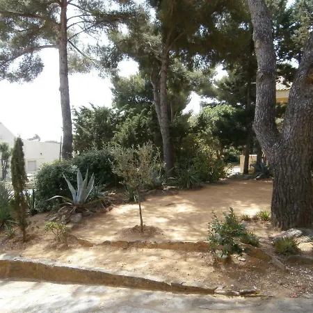 Les Cactees Maison Climatisee Avec Jardin Clos Et Parking * بورم لي ميموزا