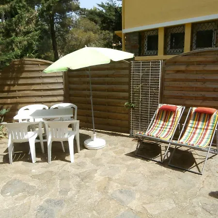 Les Cactees Maison Climatisee Avec Jardin Clos Et Parking * بورم لي ميموزا