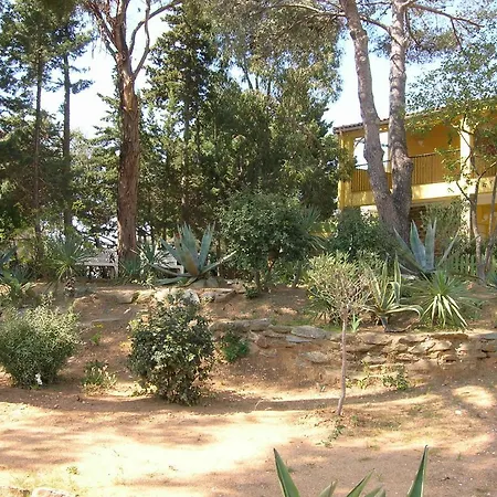 Les Cactees Maison Climatisee Avec Jardin Clos Et Parking بورم لي ميموزا
